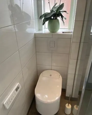 Sentrumsnaer Til Utleie Under Ons Apartment